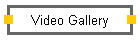 Video Gallery